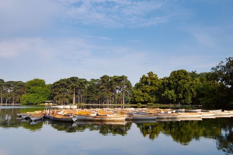 Bois de Boulogne Paris
