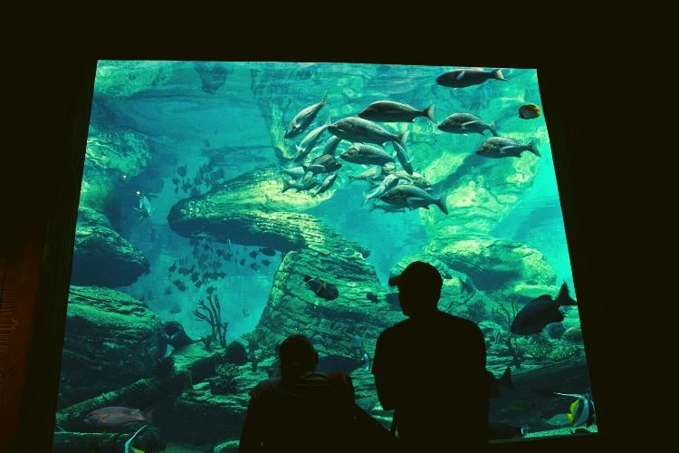 Columbus Zoo and Aquarium