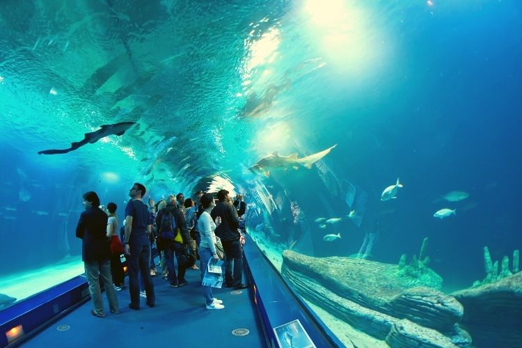 Nashville Aquarium & Science Center