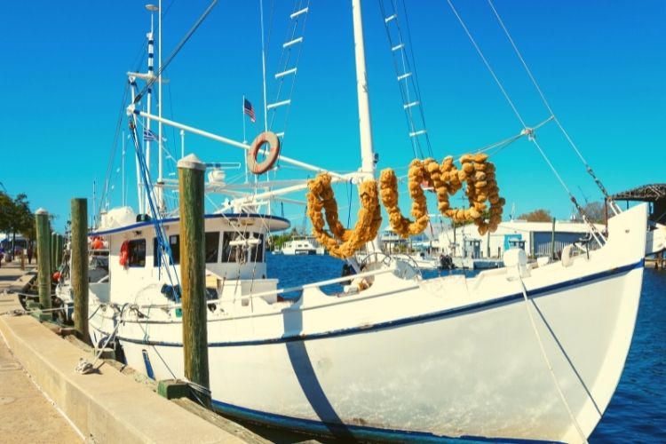 Tarpon Springs Tampa
