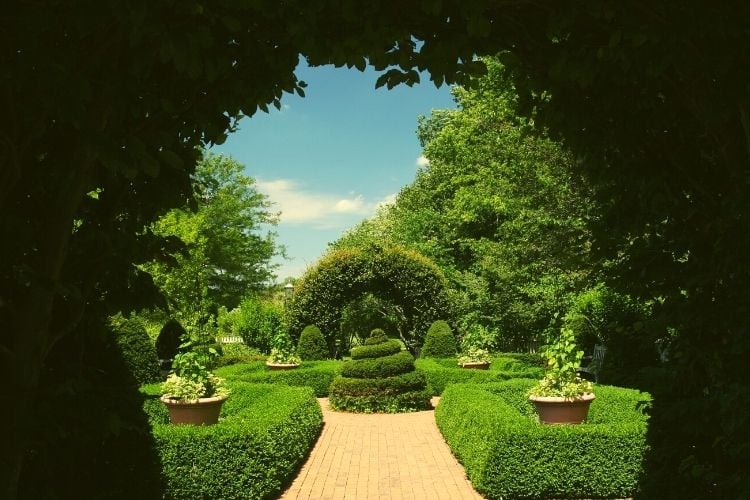 The Dawes Arboretum