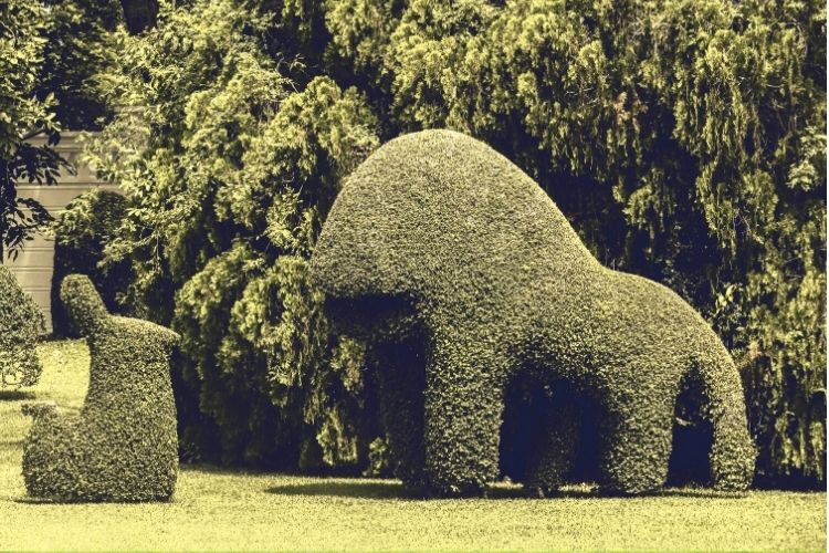 Topiary Park