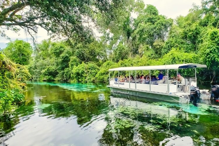 Weeki Wachee Tampa