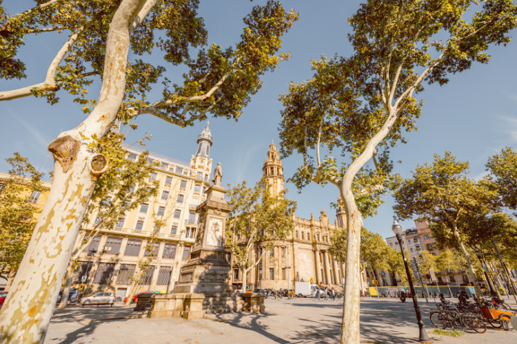 plaza de espana