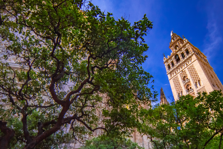 giralda tower