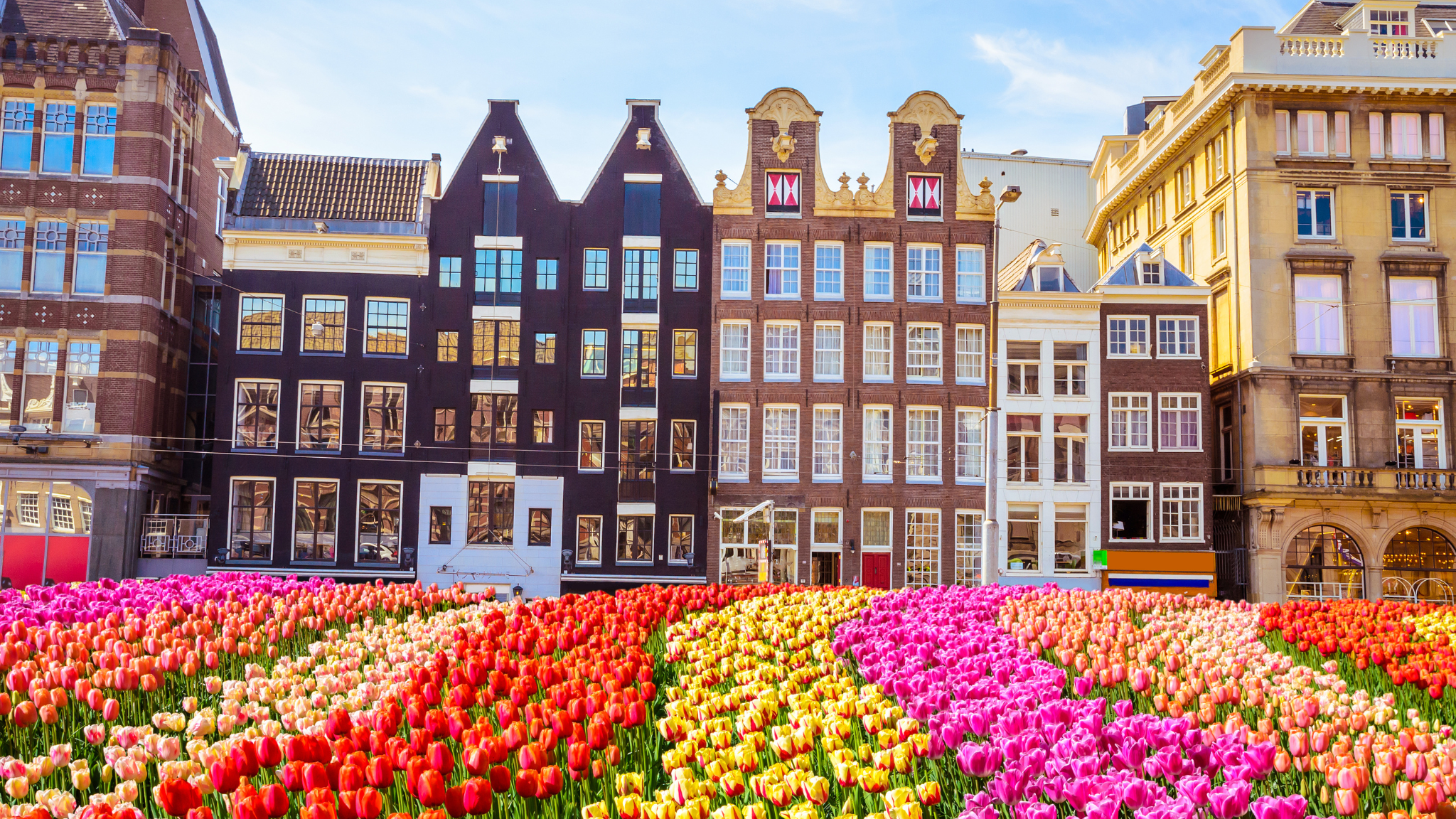 72 hours in amsterdam