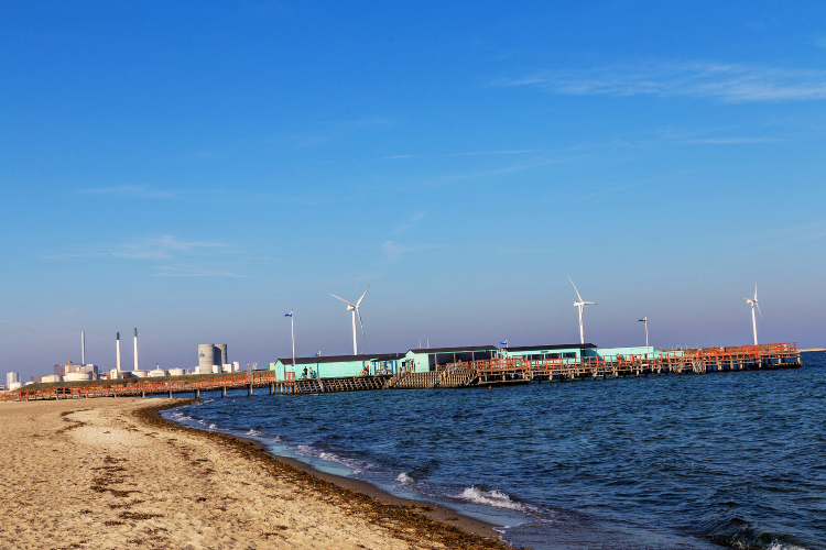 amager strandpark beach