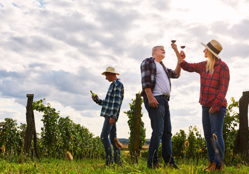 wine tasting in bordeaux france