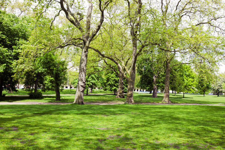 camley street natural park