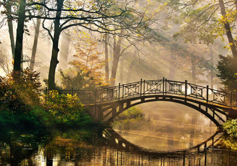 ponte vecchio florence