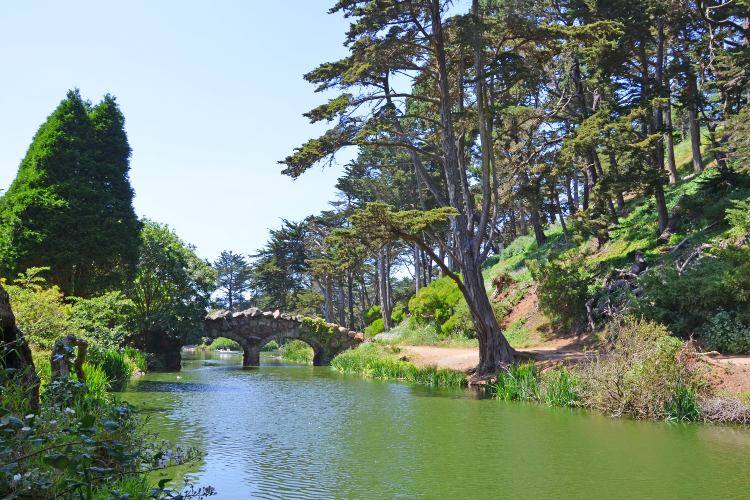 golden gate park