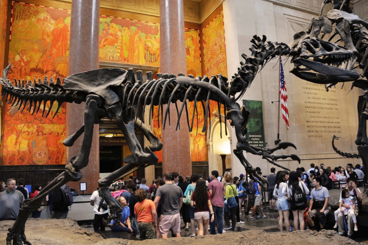 american museum of natural history