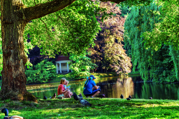 amstelpark amsterdam picnic