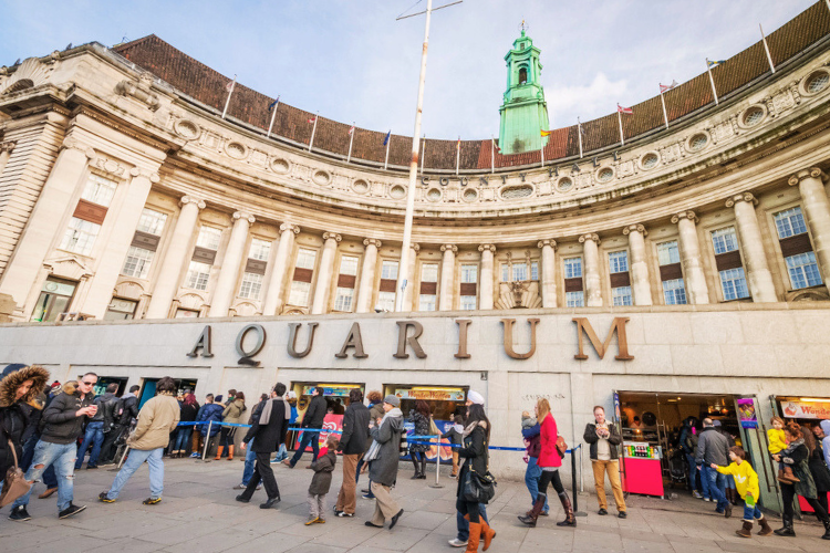 aquarium london