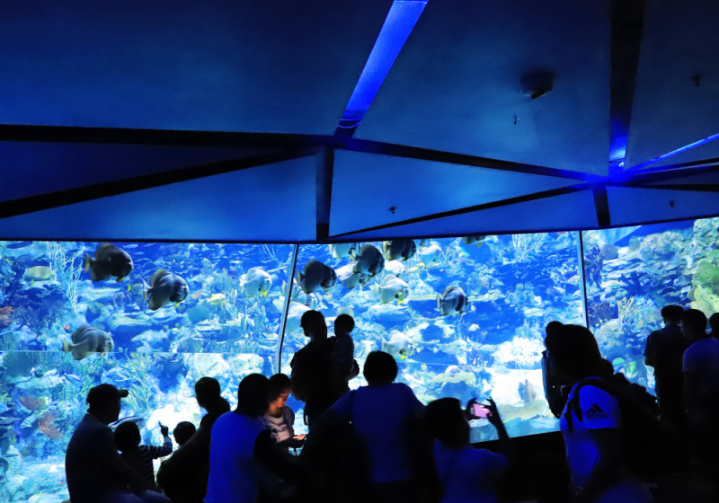 barcelona aquarium with kids in barcelona