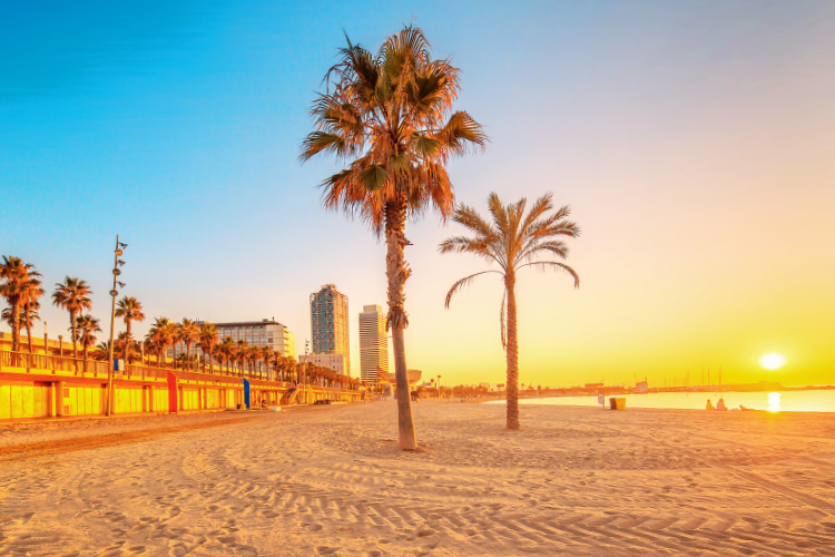 barceloneta beach