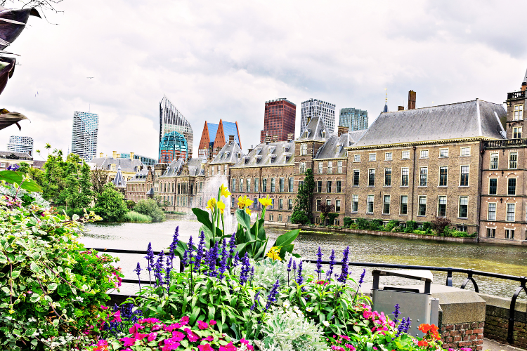 binnenhof amsterdam