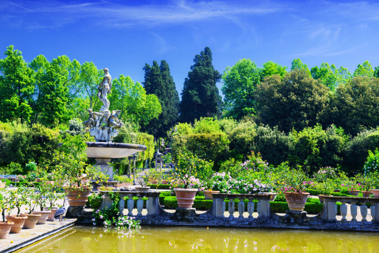 beautiful park