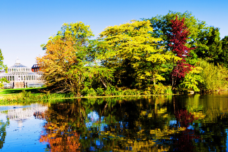 botanical garden denmark