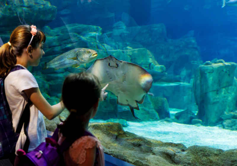aquaworld 