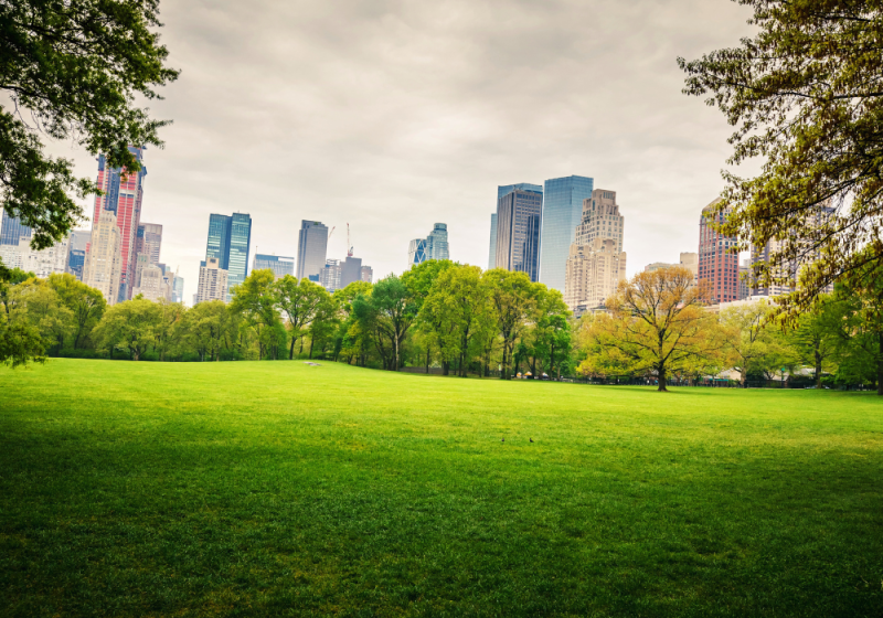 central park new york