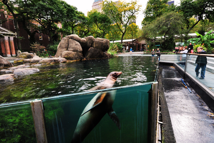 central park zoo new york