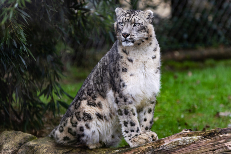 central park zoo