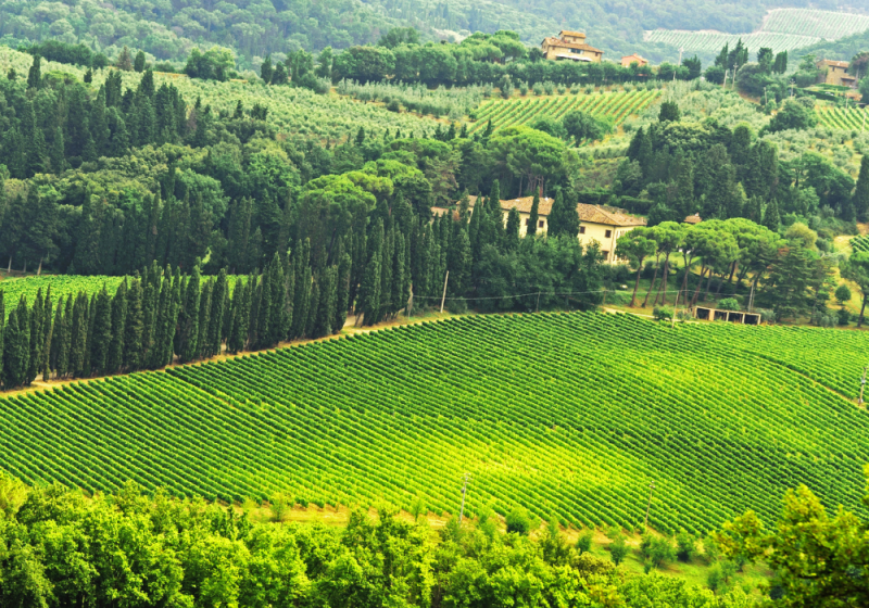 chianti region