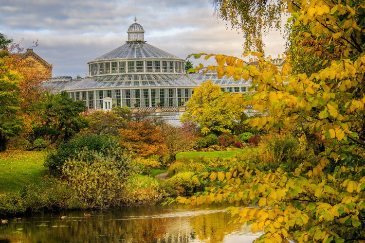 botanical garden