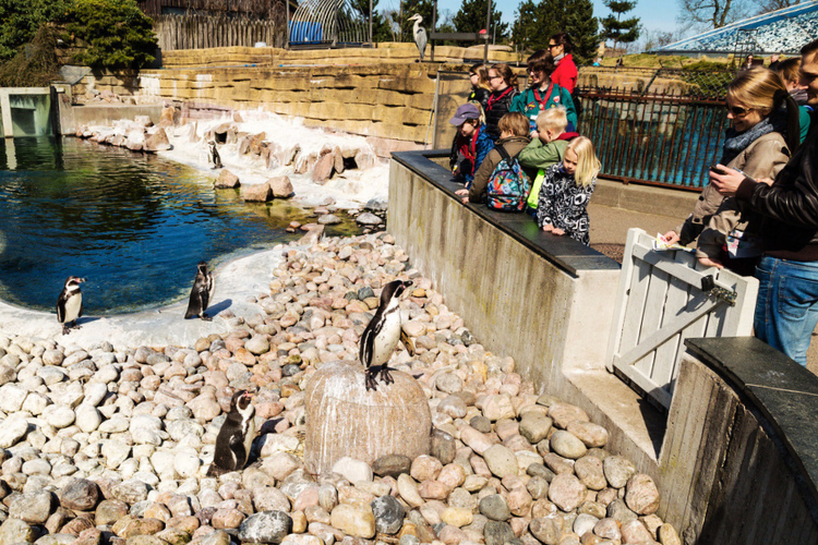 copenhagen zoo