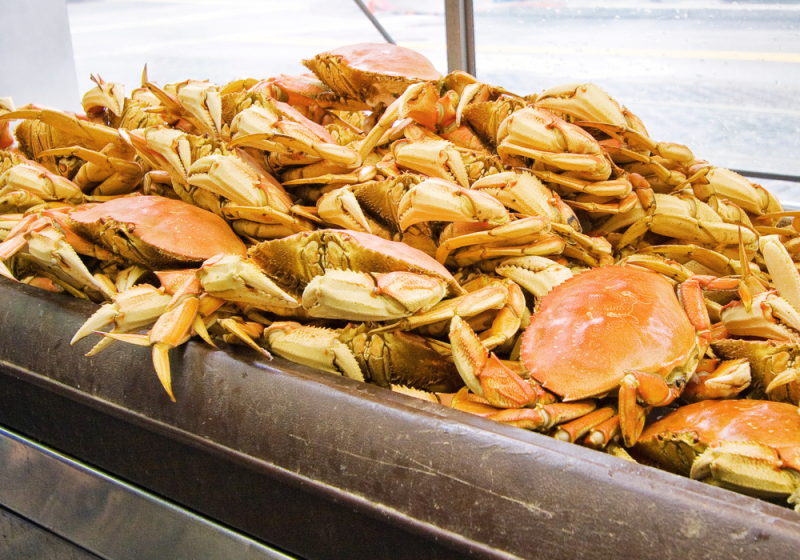 dungeness crab in san francisco