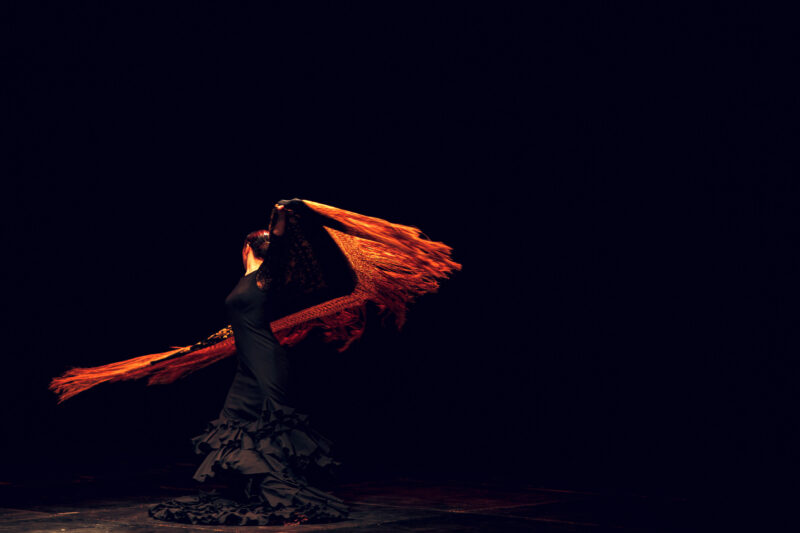 flamenco at night
