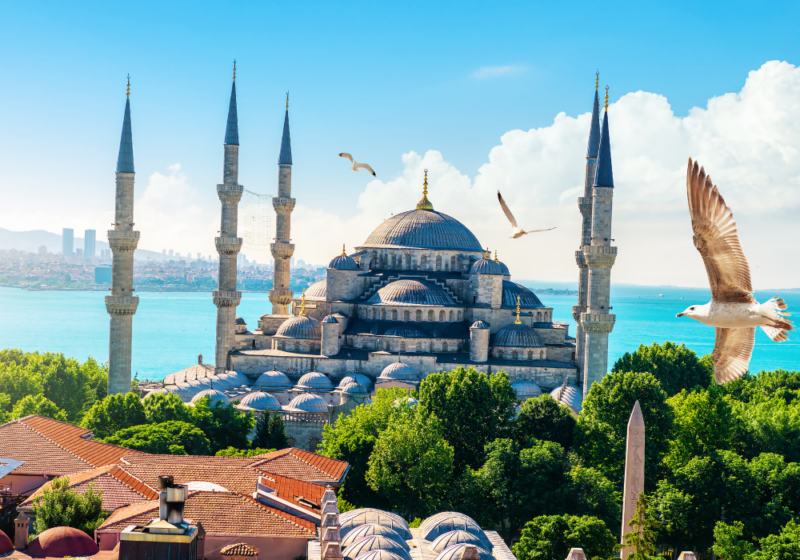 blue mosque 