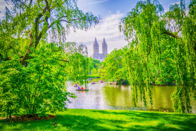 garden in nyc