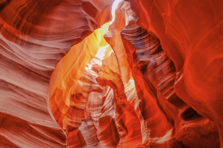 grand canyon las vegas