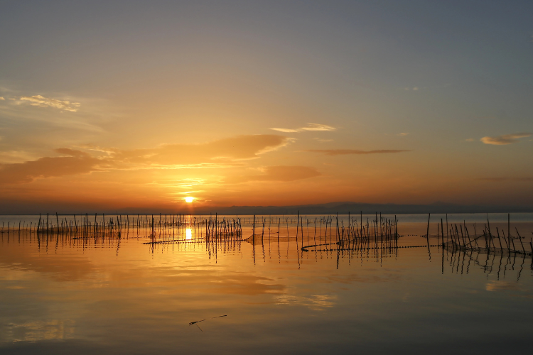 albufera national park