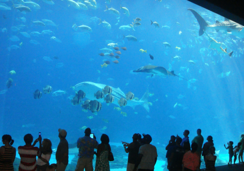 aquarium