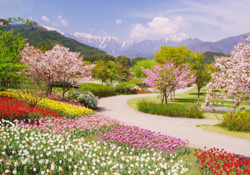 emirgan park