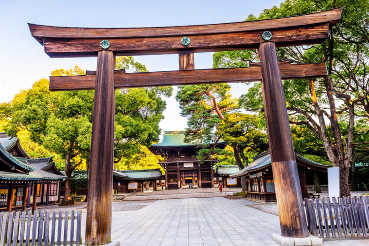 explore ancient temples and shrines
