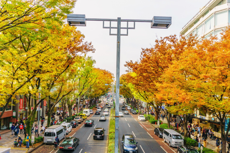 stroll along harajuku and omotesando