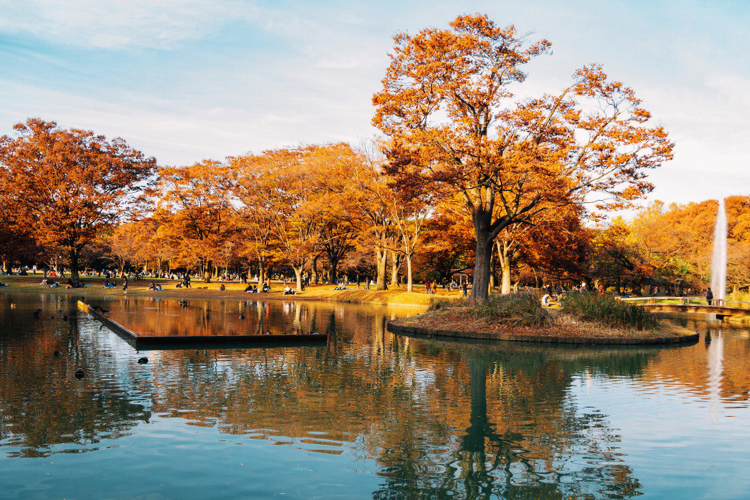 relax in tokyo’s green spaces