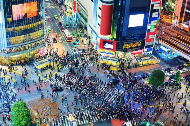 witness the famous shibuya crossing