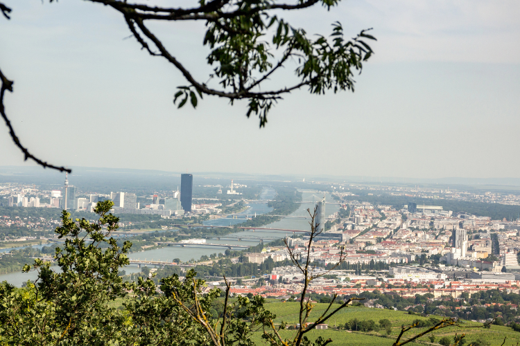kahlenberg in vienna