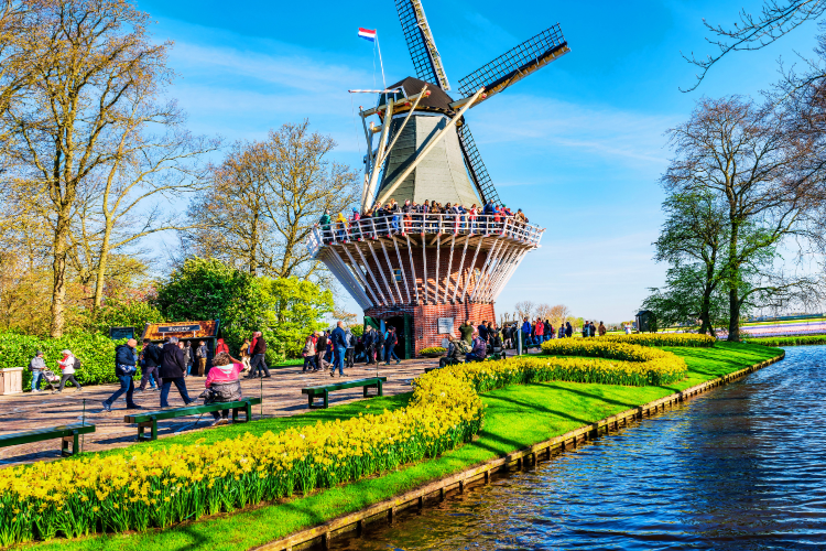 keukenhof gardens in amsterdam