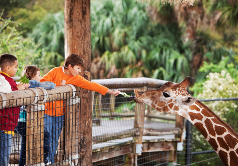 lisbon zoo