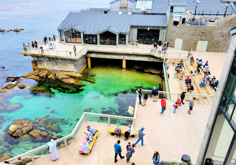 monterey bay aquarium in san francisco