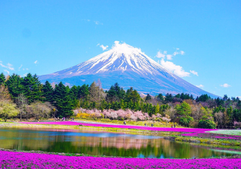 mount fuji tokyo