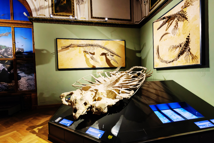 natural history museum vienna
