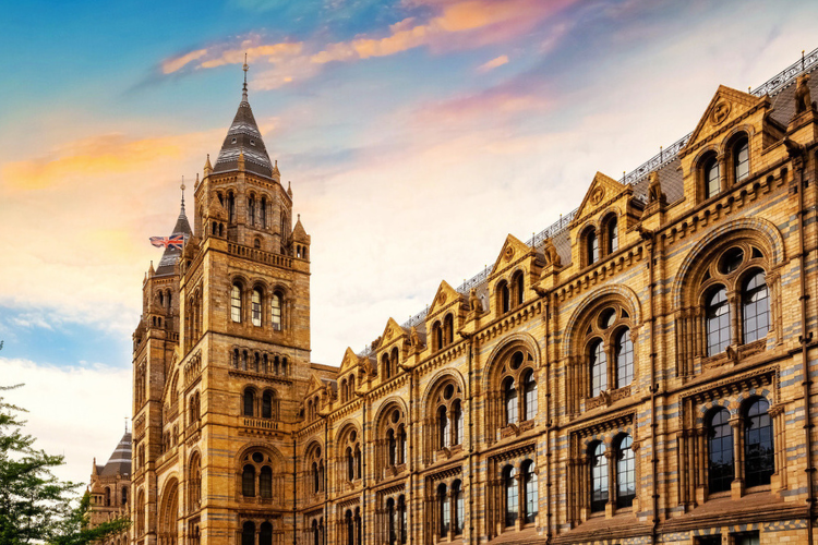 natural history museum