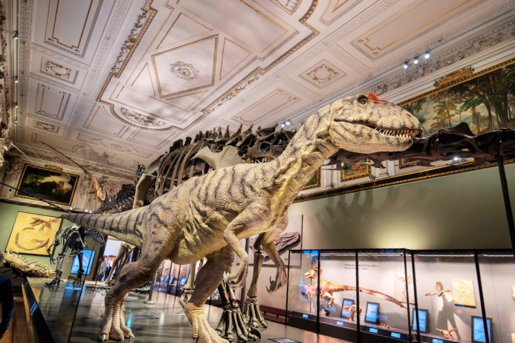 natural history museum austria
